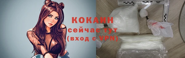 spice Алзамай