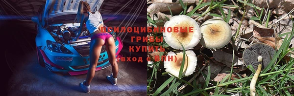 spice Алзамай