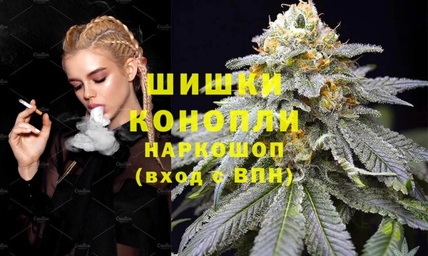 spice Алзамай