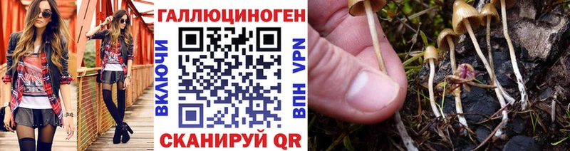 где купить наркоту  Арамиль  Псилоцибиновые грибы ЛСД 